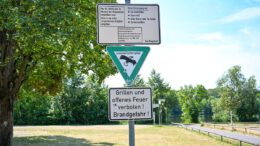 Hanau untersagt offenes Grillen in Parks und am Main wegen erhöhter Brandgefahr Hanau untersagt offenes Grillen in Parks und am Main wegen erhöhter Brandgefahr