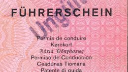 Kreis Offenbach führt digitalen Antrag für den Pflichtumtausch von Führerscheinen ein