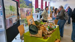 Nachhaltigkeitsmesse in Hanau rückt Artenvielfalt in den Fokus