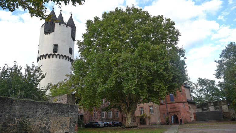 Nachtwächterführung in Steinheim am 4. Februar: Historischer Rundgang mit Kostümführung Nachtwächterführung in Steinheim am 4. Februar: Historischer Rundgang mit Kostümführung