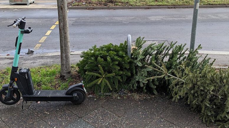 Offenbach sammelt Weihnachtsbäume ab 12. Januar nach Postleitzahlen ein