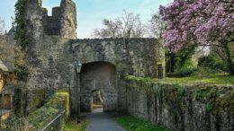Steinheimer Stadtmauer: Reparatur abgeschlossen, umfassende Schadenskartierung läuft