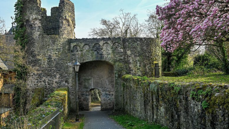 Steinheimer Stadtmauer: Reparatur abgeschlossen, umfassende Schadenskartierung läuft
