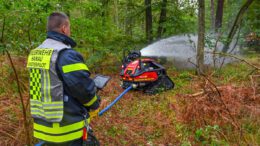 Waldbrand bei Hanau vernichtet 2,5 Hektar Wald: Stadt verschärft Grillverbot und Kontrollen
