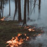 Warnstufe 4: Stadt fordert erhöhte Vorsicht in Wäldern und untersagt offenes Feuer